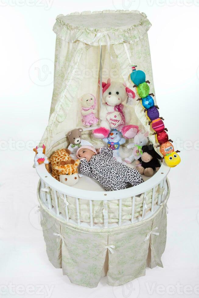 Four months baby girl surrounded by stuffed animals photo
