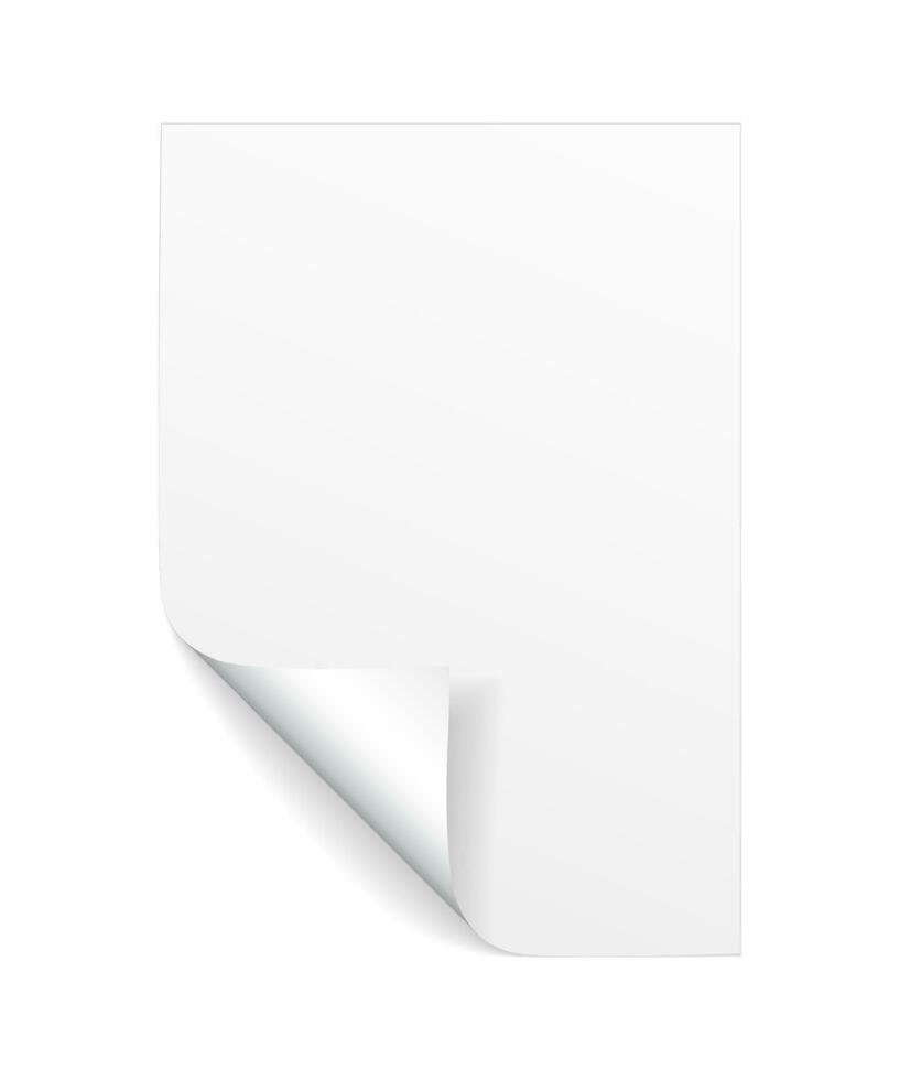 Blank A4 sheet of white paper with curled corner and shadow, template for your design. Set. Vector illustration