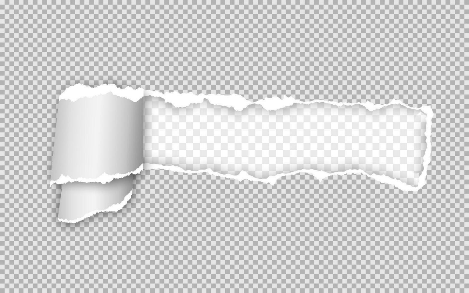 Realistic torn and twisted paper strip. Torn paper edge. Vector illustration