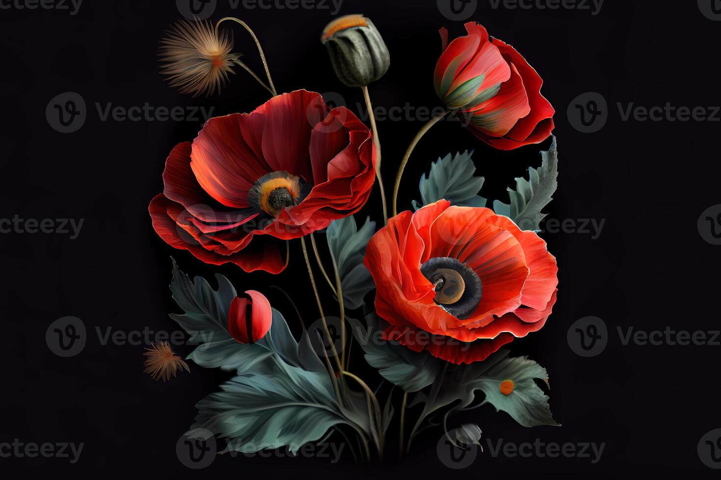 Red poppies on a dark background. photo