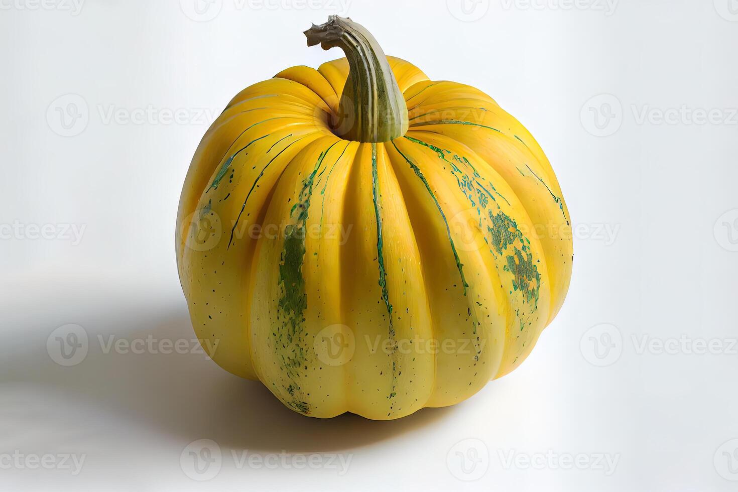 Healthy One natural Patti Pan Squash. photo