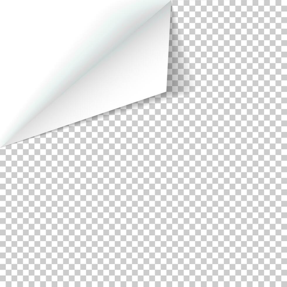 Sheet of paper with curled corner and soft shadow, template for your design. Vector illustration