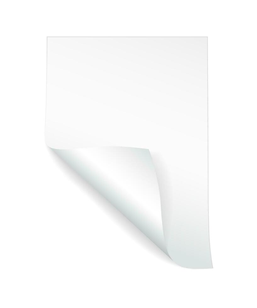 Blank A4 sheet of white paper with curled corner and shadow, template for your design. Set. Vector illustration