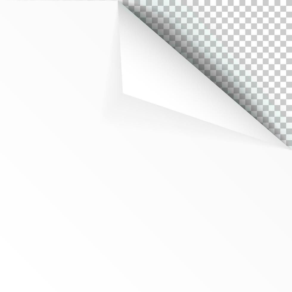 Sheet of paper with curled corner and soft shadow, template for your design. Vector illustration