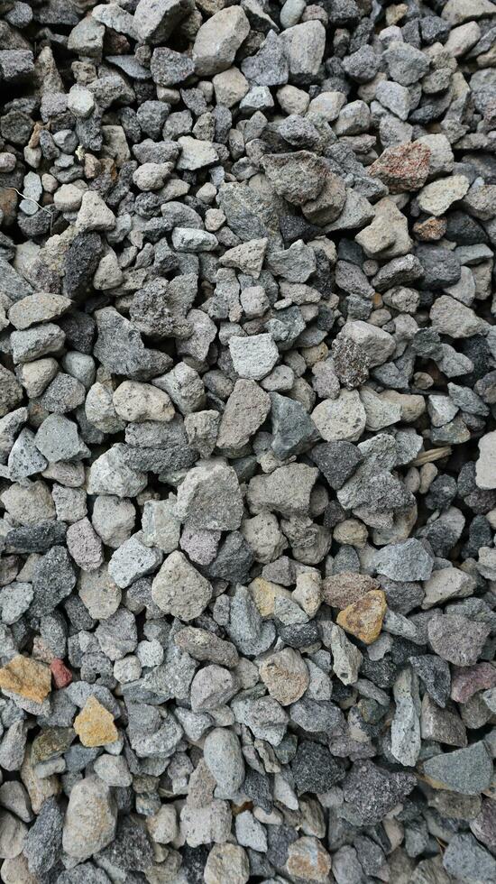 from near some gravel in the yard photo