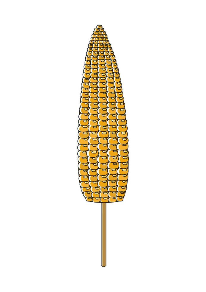 Baked or boiled corn on wooden stick food vector isolated for vegetarian or vegan flat style