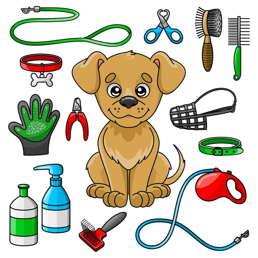 Set colorful of goods for grooming and dog walking vector