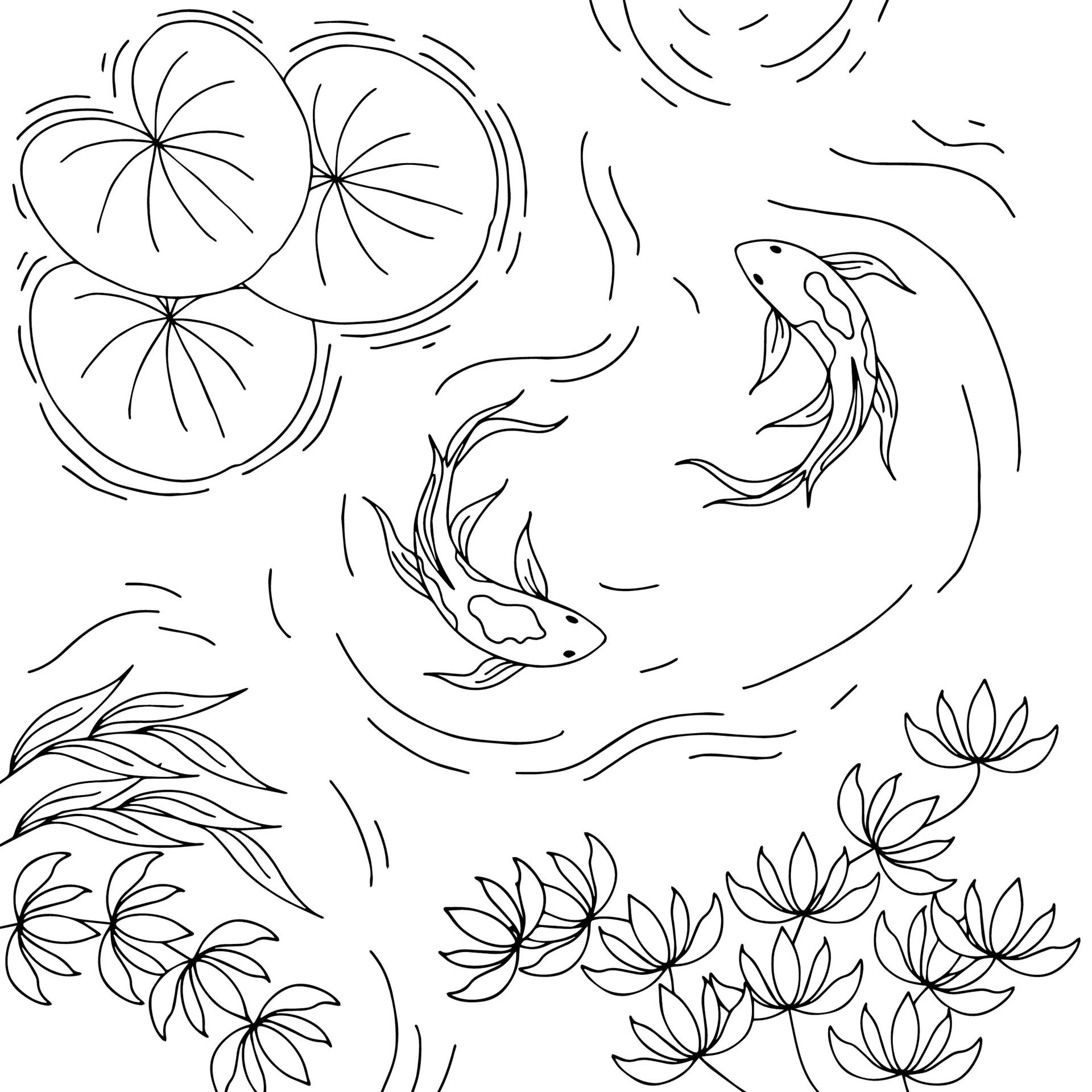 Design Illustration Koi Fish Pond Outline 23809210 Vector Art At Vecteezy