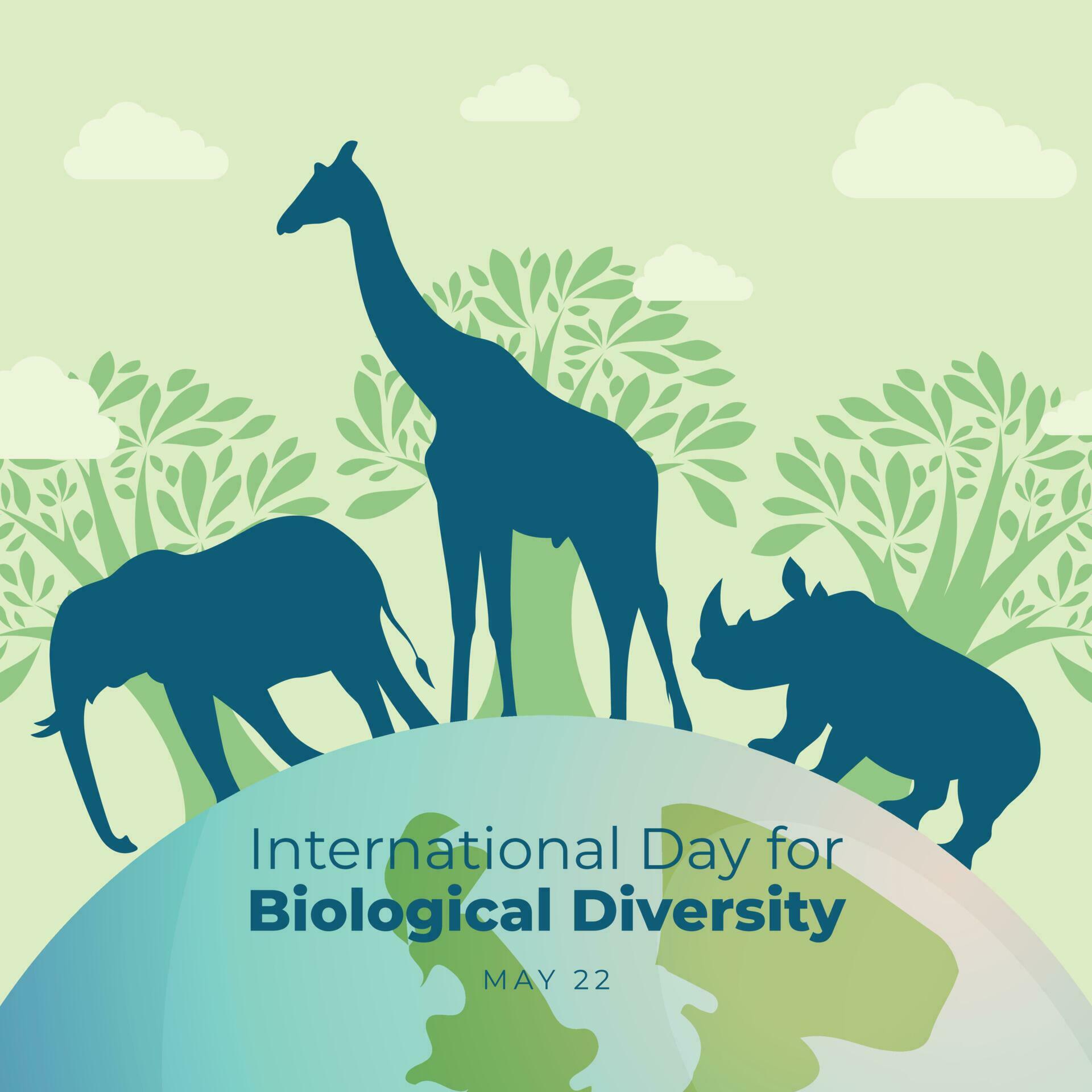 vector graphic of International Day for Biological Diversity good for ...