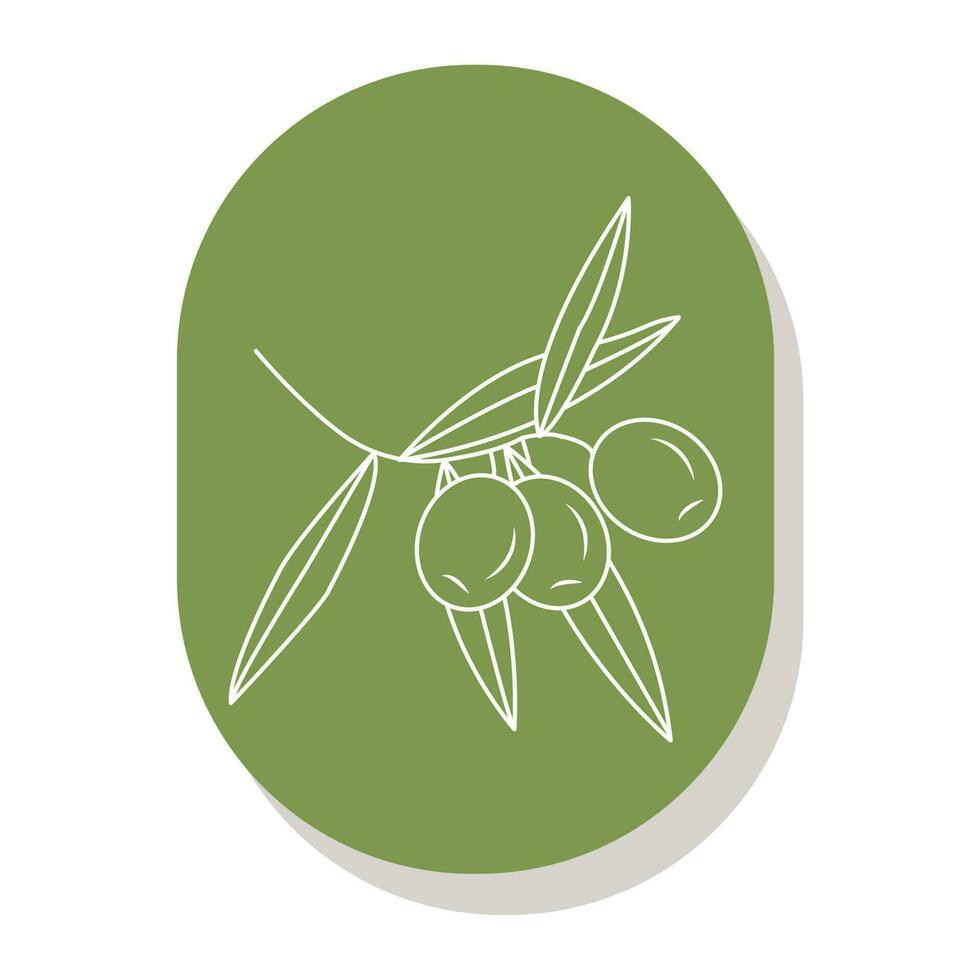 Olives on a branch. Simple logo for your design. Vector illustration.