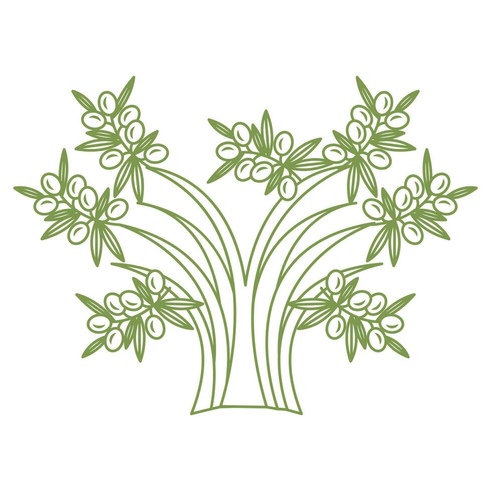 Olive tree with fruits and leaves. Simple icon in doodle style. Vector illustration isolated on white background.