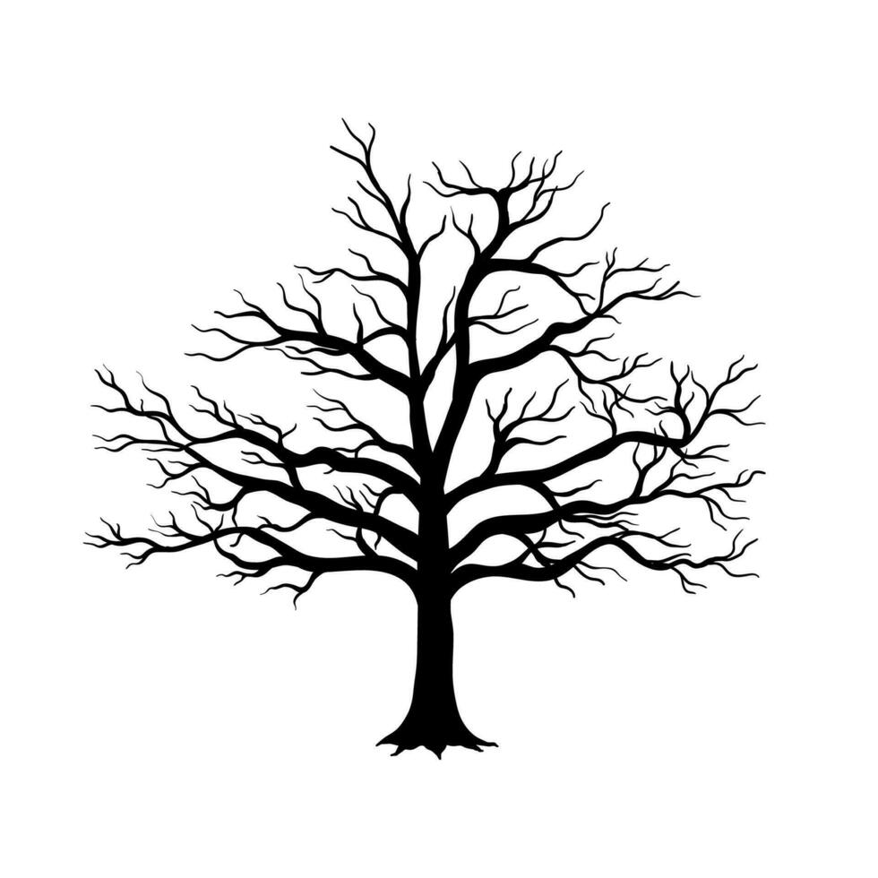 Bare tree silhouette vector isolated