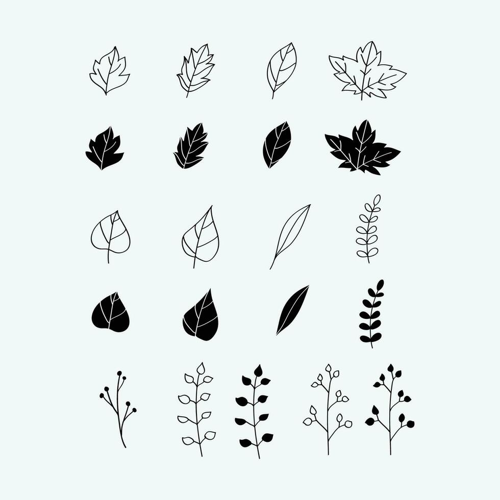 set of hand drawn leaves vector