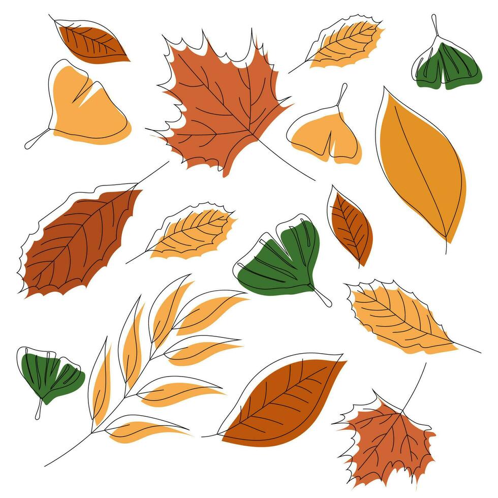 otoño hojas antecedentes en blanco. Perfecto para estacional diseños y con temática otoñal proyectos vector