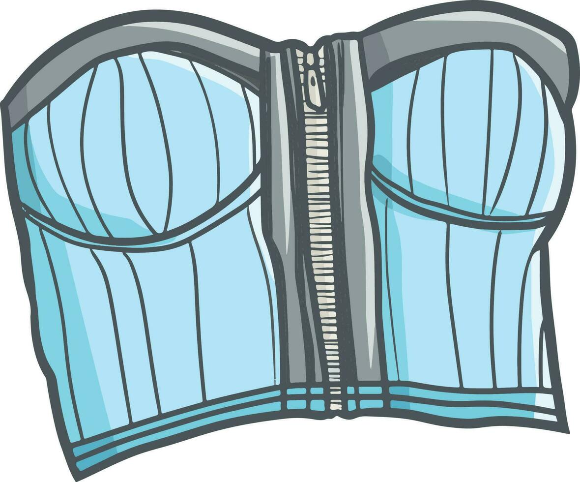 Cool and sexy blue corset vector