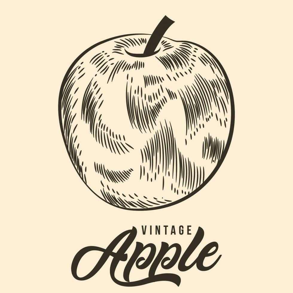 Vintage Hand Drawing Apple Fruit Sketch Vector Stock Illustration