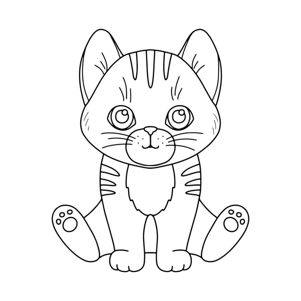 Line cute sitting cat. Vector outline graphic illustration, character baby kitten isolated on white background for coloring book