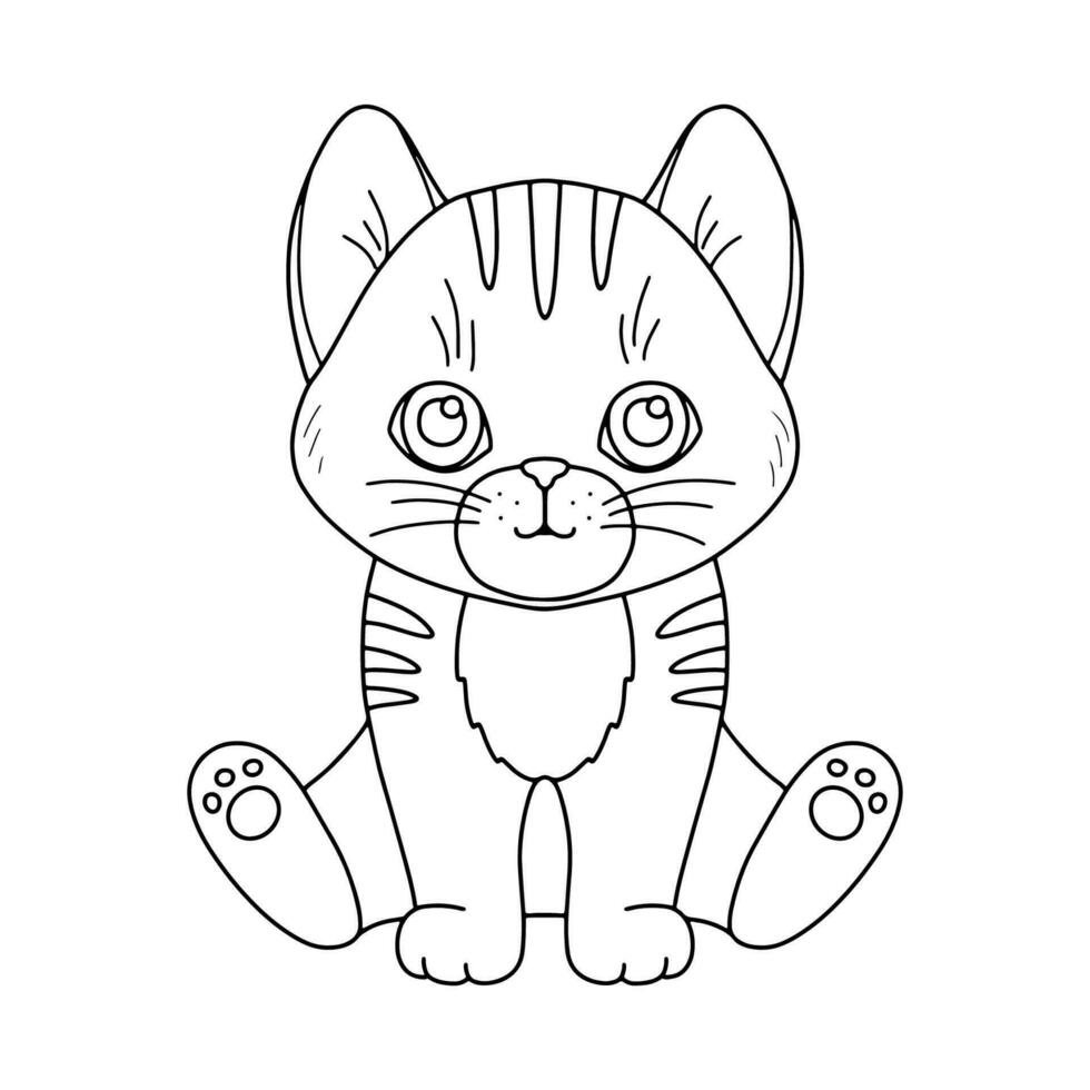 Line cute sitting cat. Vector outline graphic illustration, character baby kitten isolated on white background for coloring book