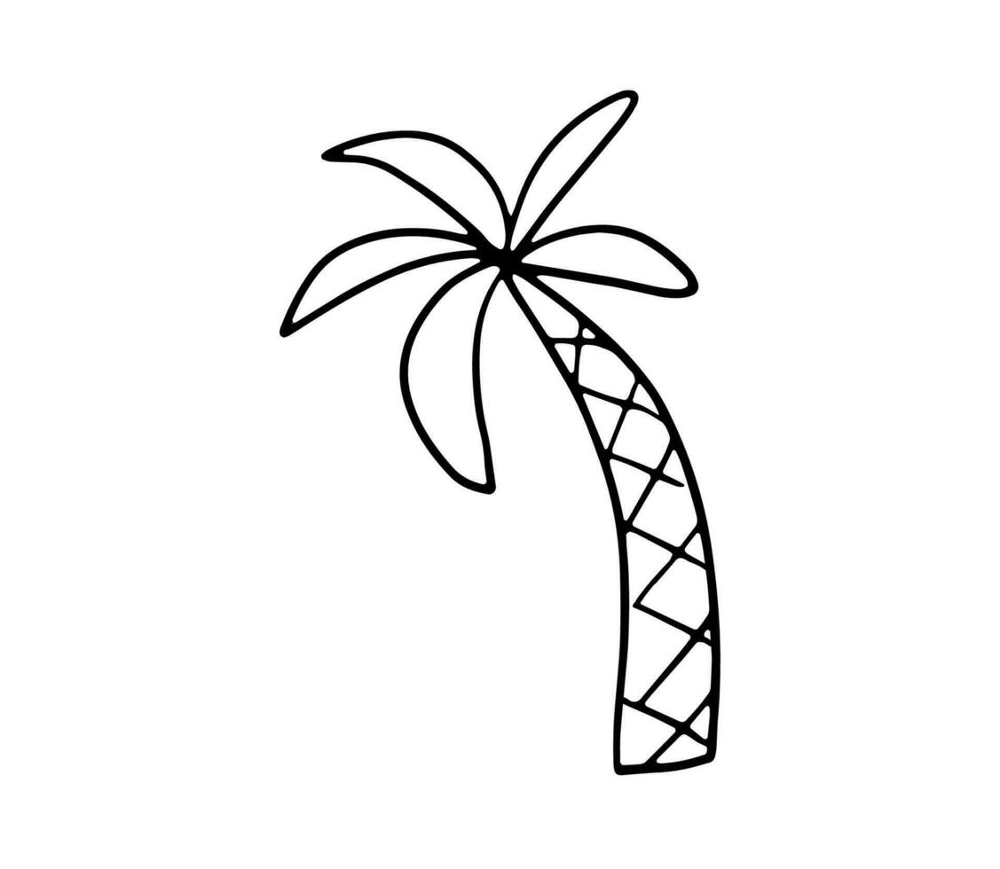 Line sketch of palm tree. Cute doodle vector illustration isolated on white background