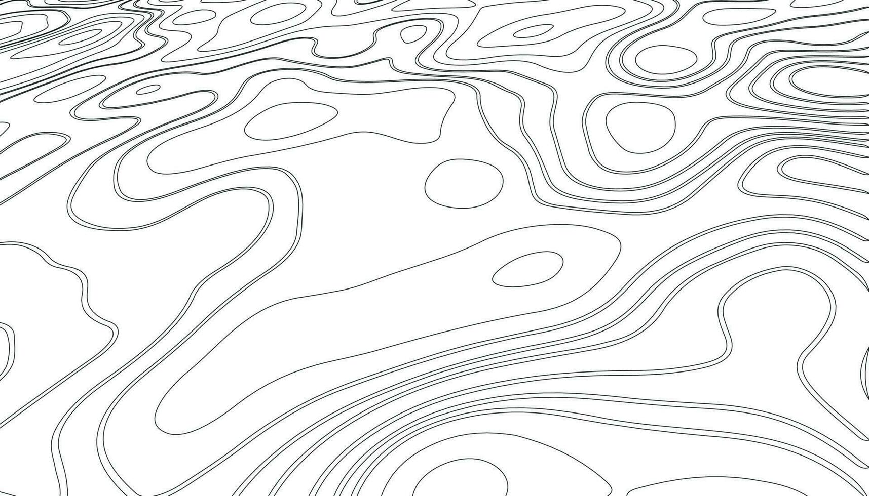 Background of the topographic map. Topographic map lines vector