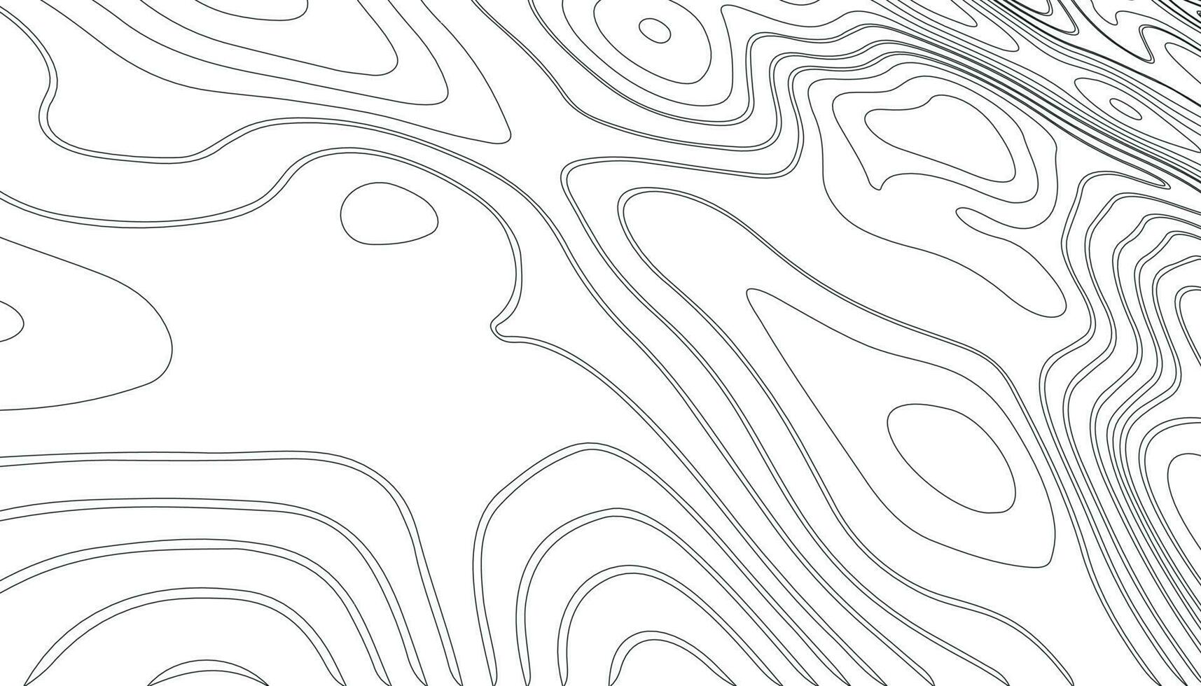 Background of the topographic map. Topographic map lines vector