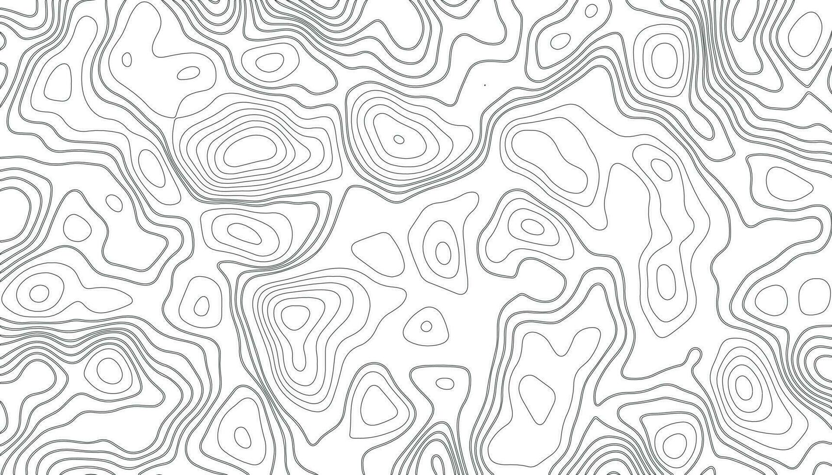 Background of the topographic map. Topographic map lines vector