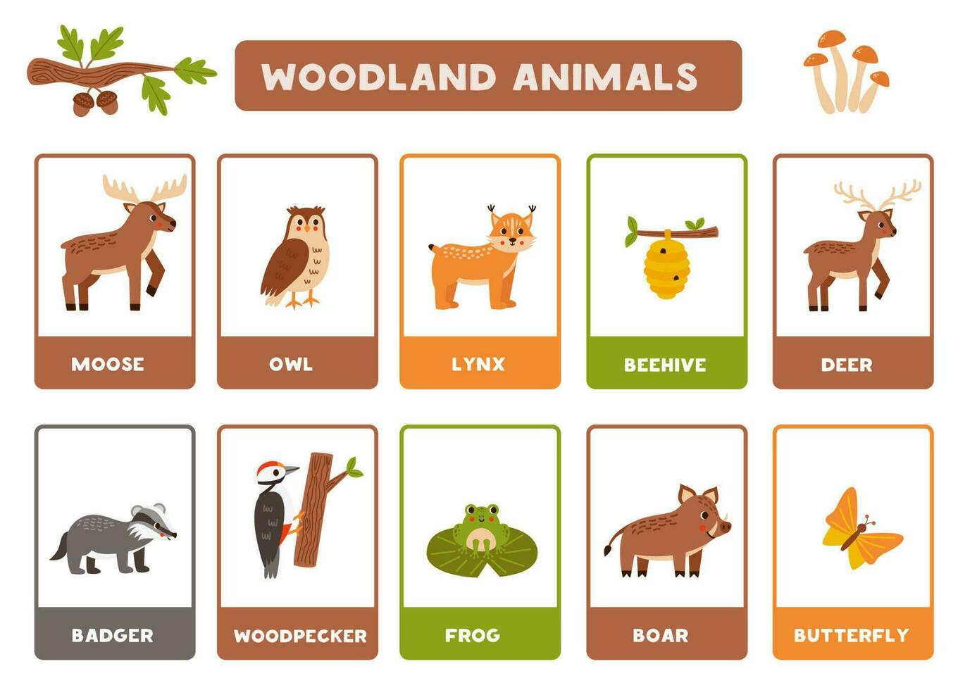 Cute cartoon woodland animals with names. Flashcards for learning English. vector