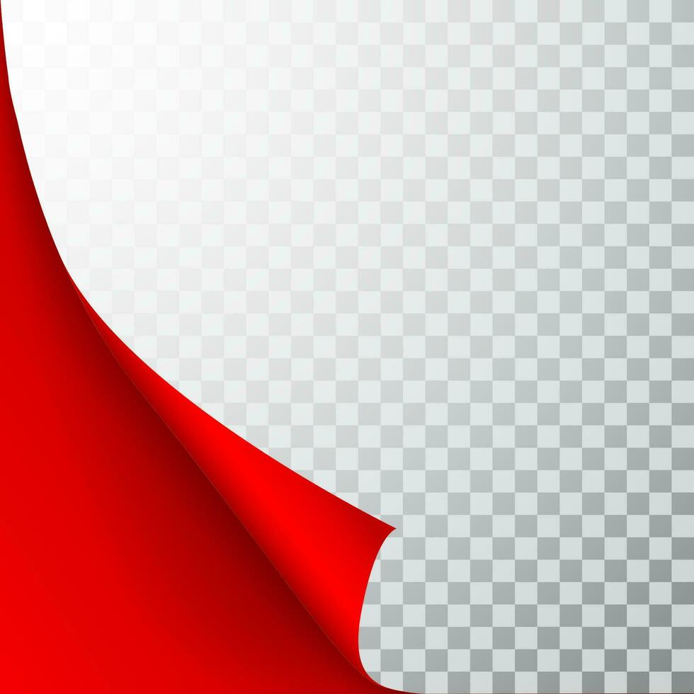 Paper page with curled corner and shadow. Template for your design. Set. Vector illustration