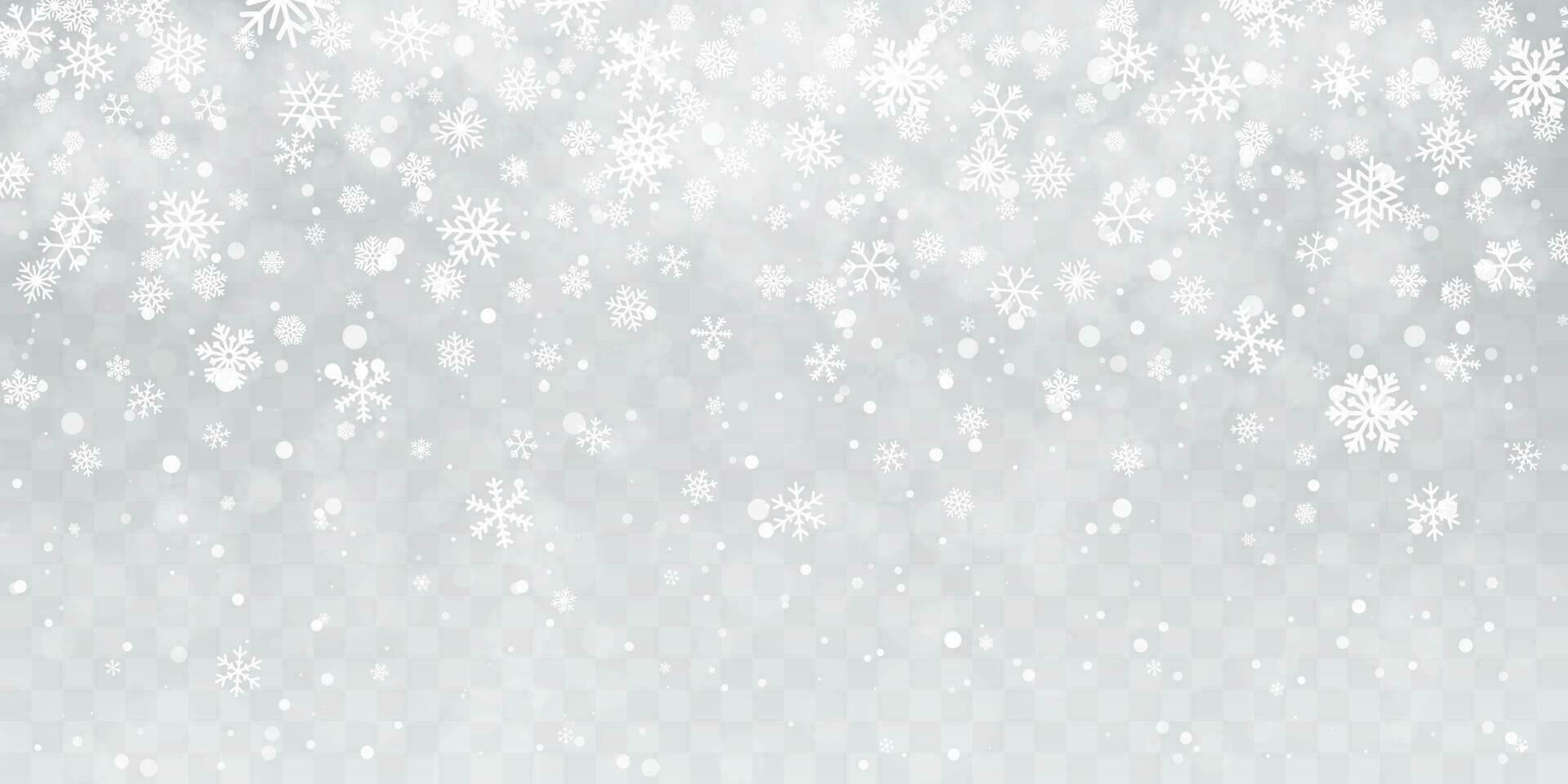 Christmas snow. Heavy snowfall. Falling snowflakes on transparent background. White snowflakes flying in the air. Vector illustration