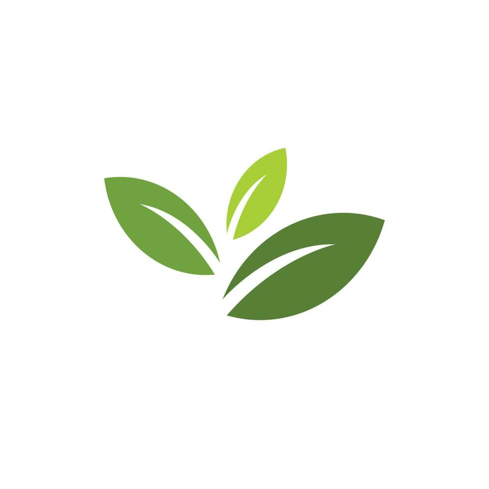 logotipos de la ecología de la hoja del árbol verde vector