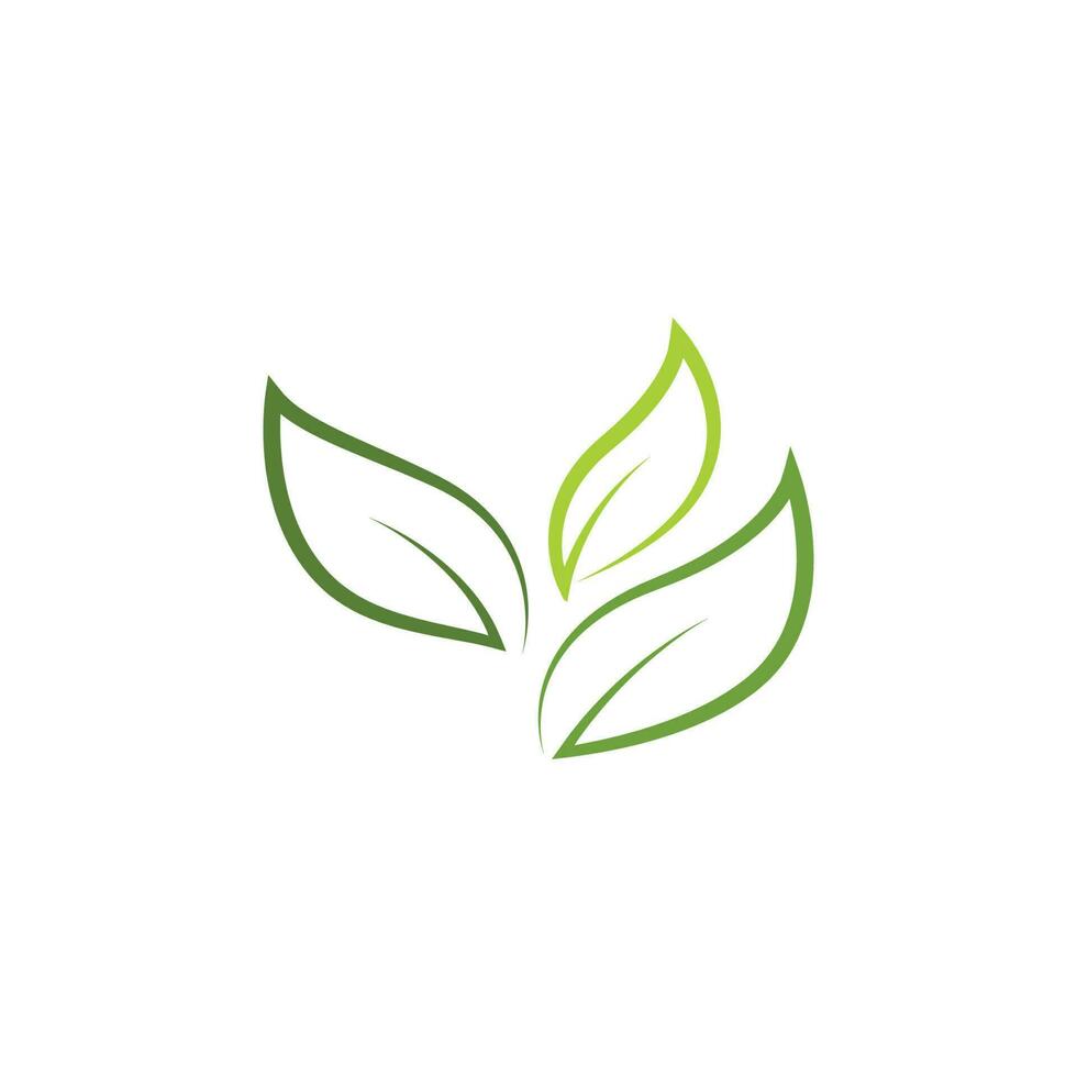 logotipos de la ecología de la hoja del árbol verde vector