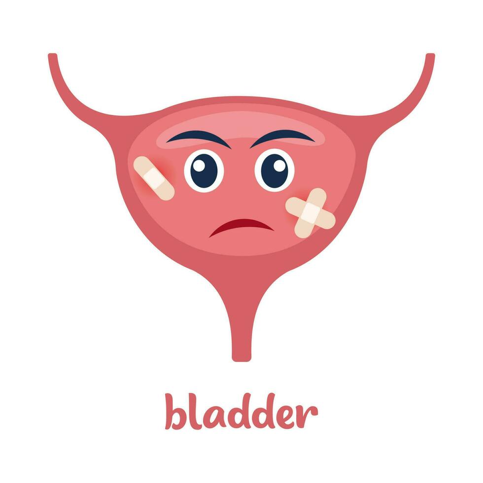 Sick bladder with pain ache or disease. Sad cartoon character bladder, body organ injured or unhealthy. Human cartoon anatomy, kids medicine. Vector illustration.