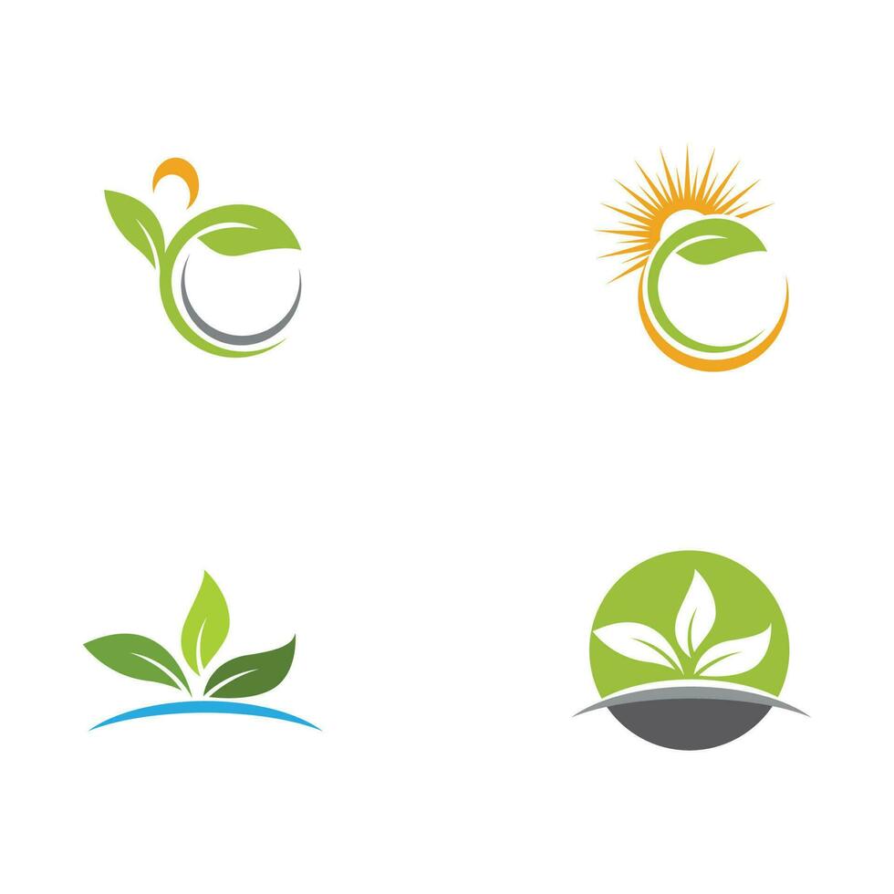 logotipos de la ecología de la hoja del árbol verde vector