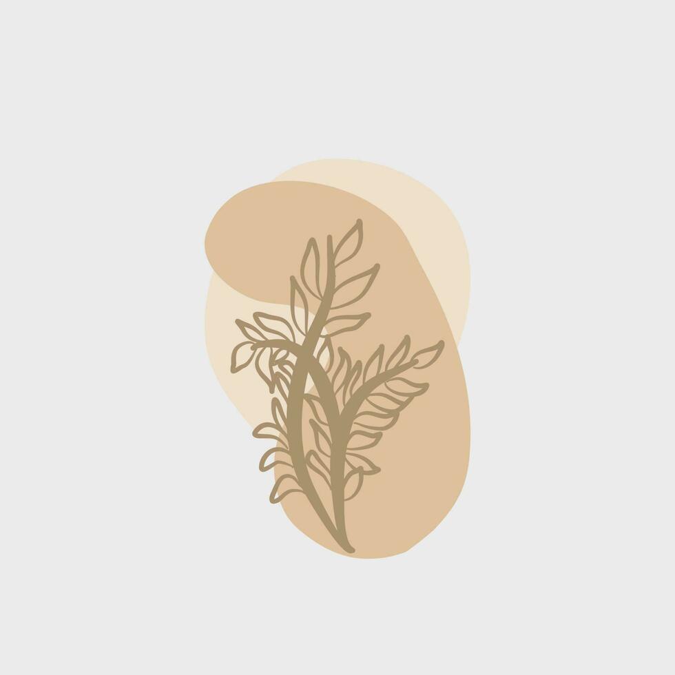 illustration of leaf botanical aesthetic for wedding and decoration vector