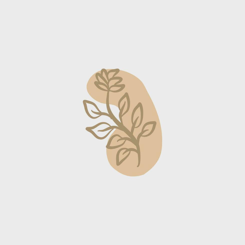 illustration of leaf botanical aesthetic for wedding and decoration vector