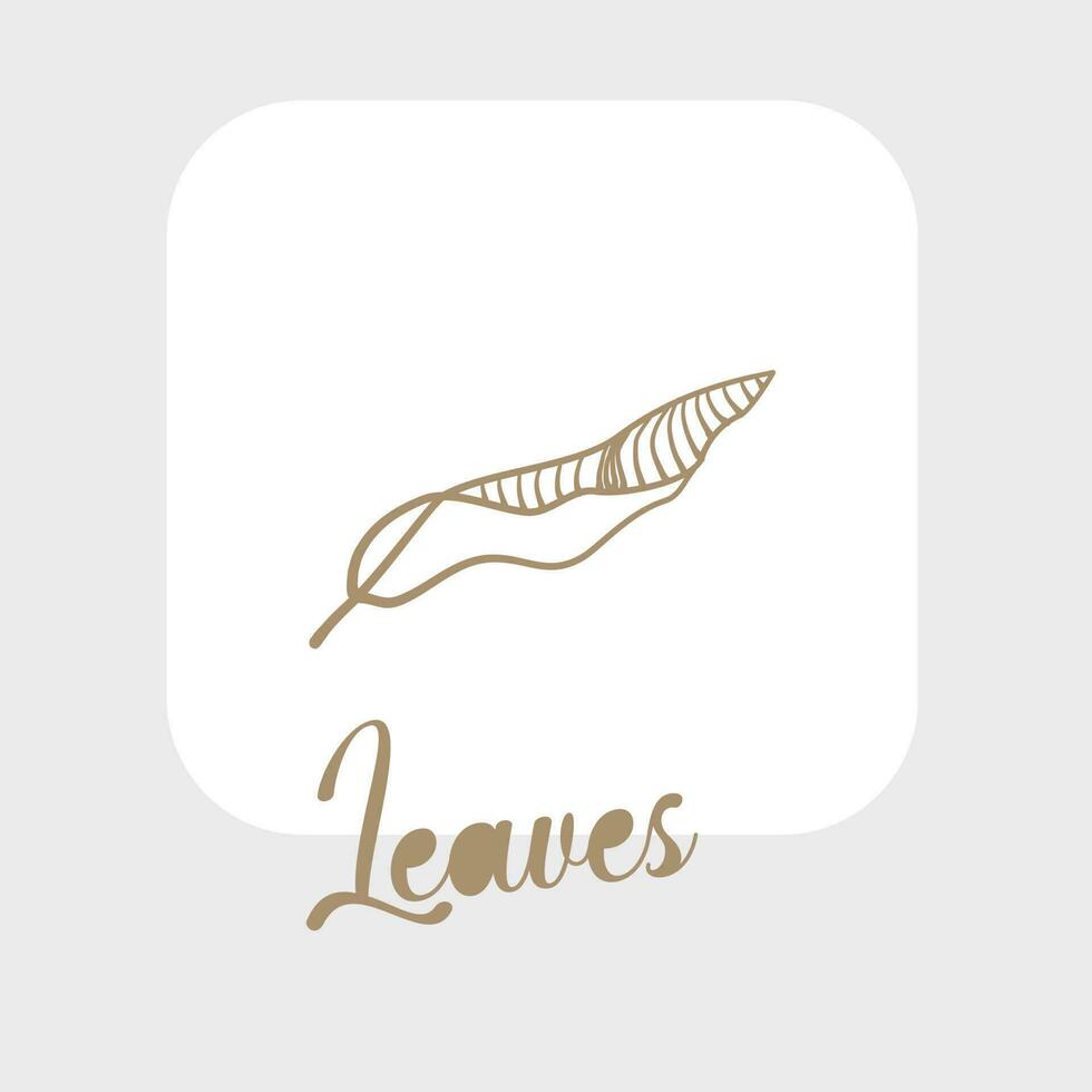 Set of hand drawn vector tropical leaves. Silhouettes of abstract branches in minimalistic flat style isolated on white background. Natural elements with a line for the design of patterns