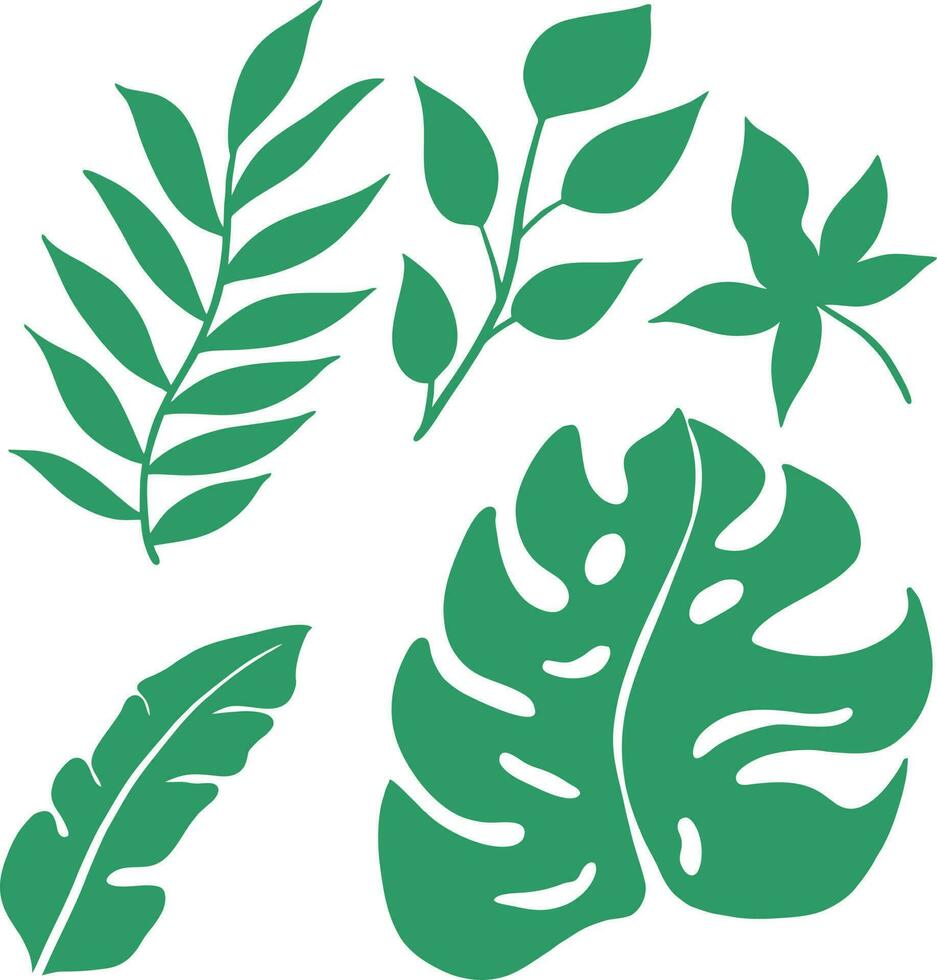 set leaf vector. collection of leaves. vector