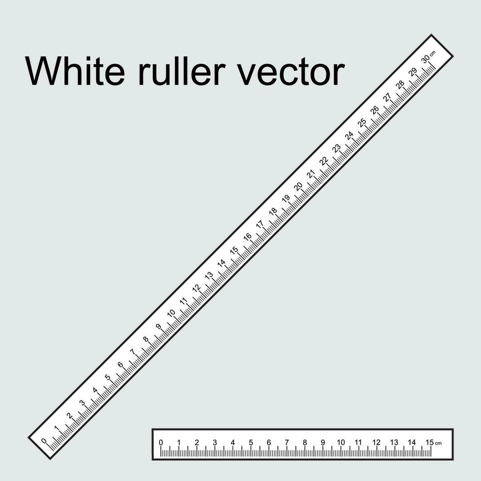 Illustration vector graphic of White ruller