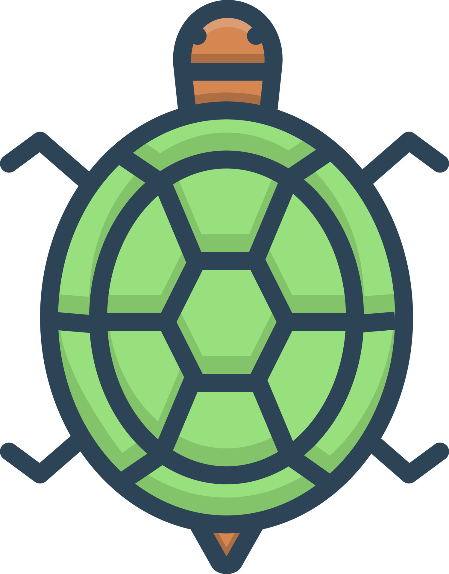color icon for turtle 23817480 Vector Art at Vecteezy