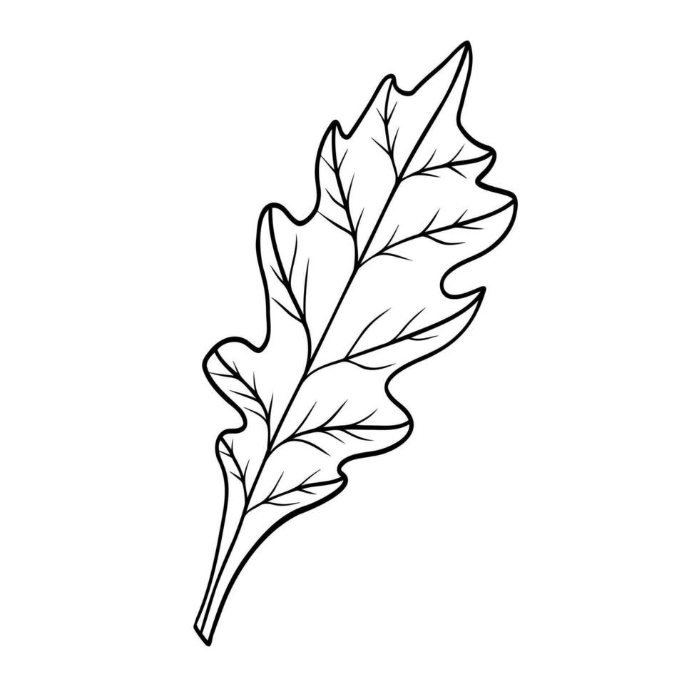 Linear autumn leaf. Line art clipart. vector