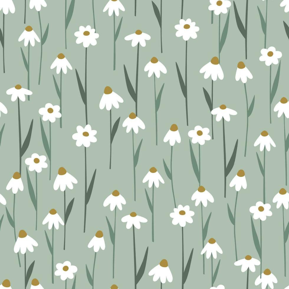 Seamless pattern with delicate camomile flowers vector