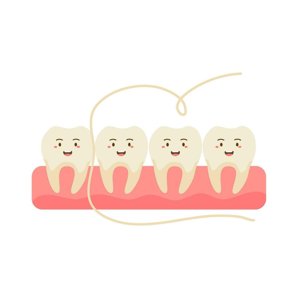 dental floss for teeth illustration vector