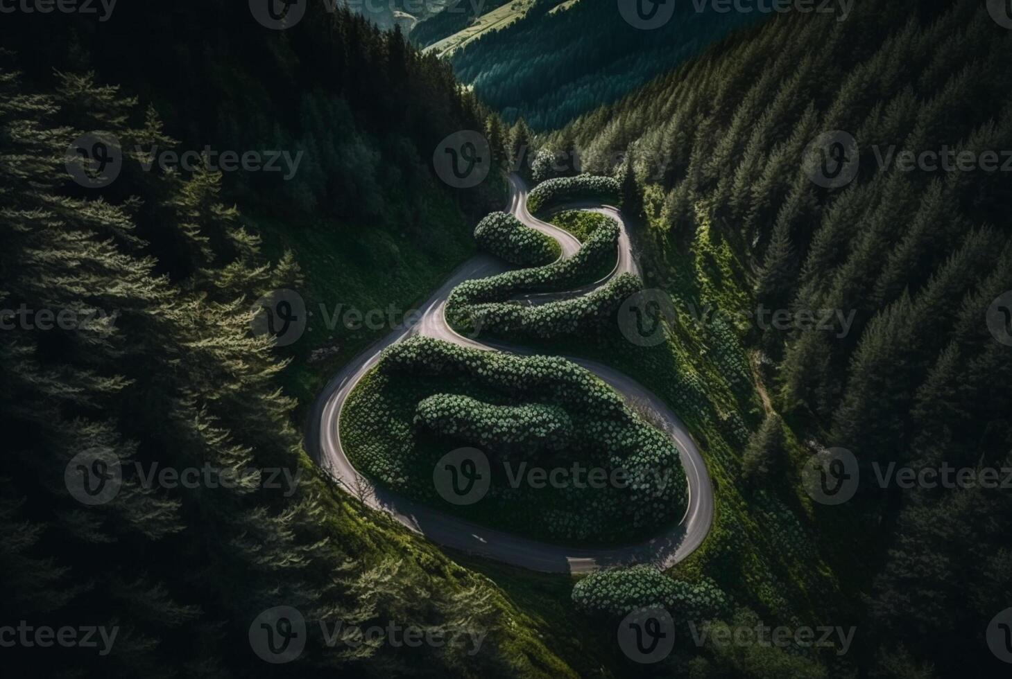 drone view of winding road surrounded by lush green trees in forest. photo