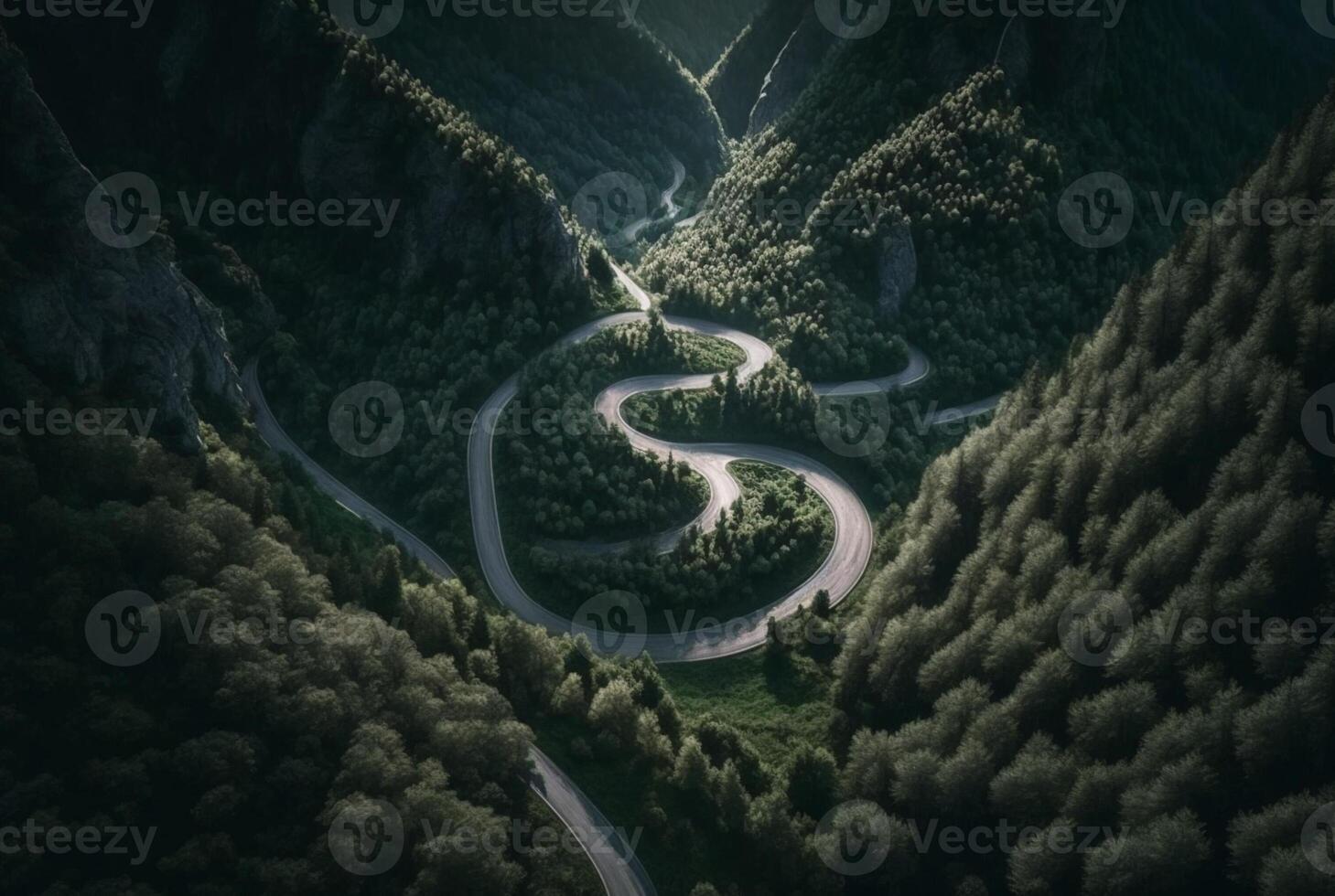 drone view of winding road surrounded by lush green trees in forest. photo