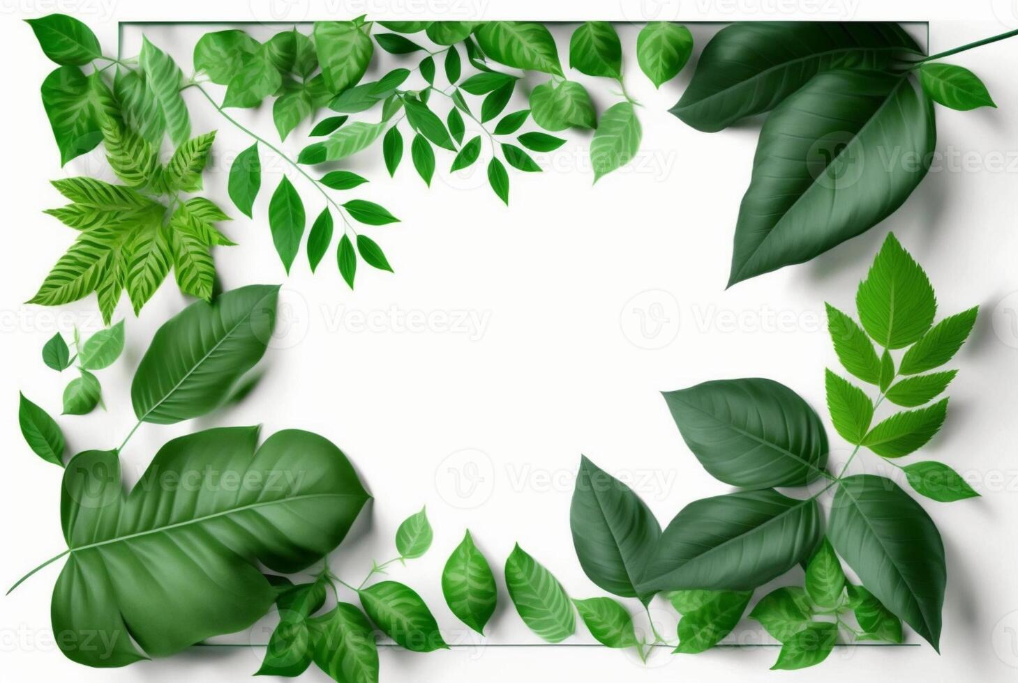 Frame of green leaves on a white background. lay flat. photo