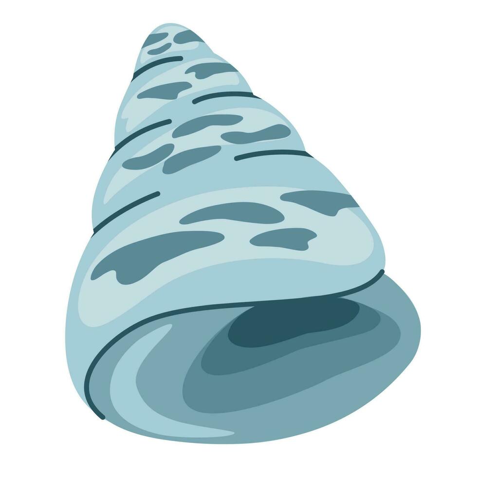 Seashell. Summer vacation, tropical beach shells. Hand draw vector illustration isolated on white background.