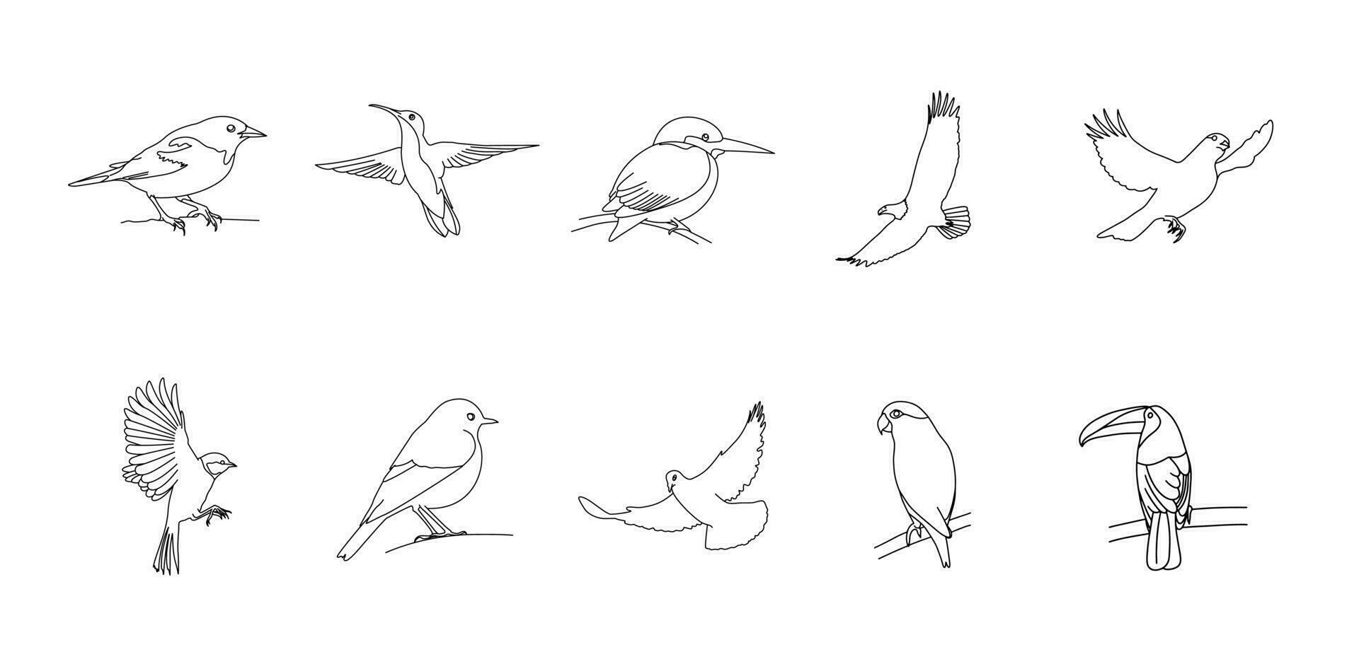 Bird Outline Icon vector