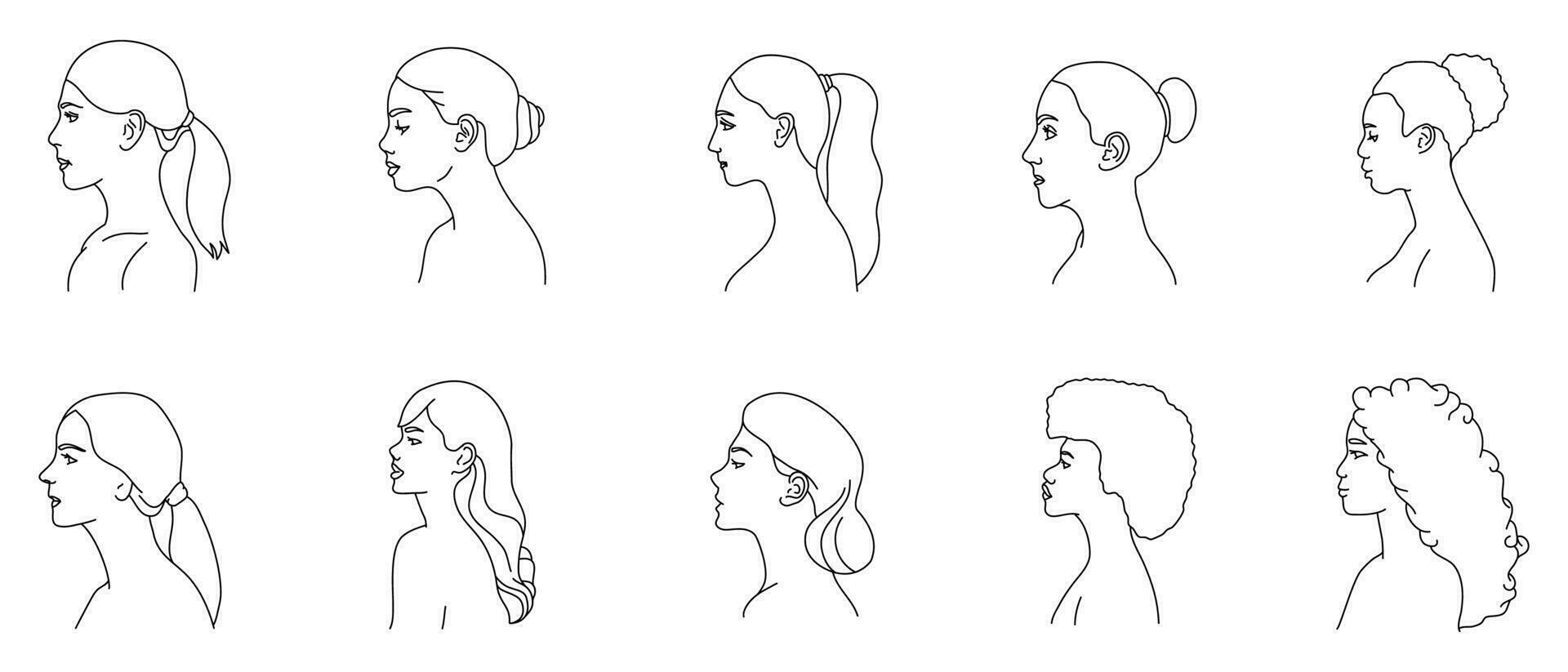 Woman Outline Illustration vector