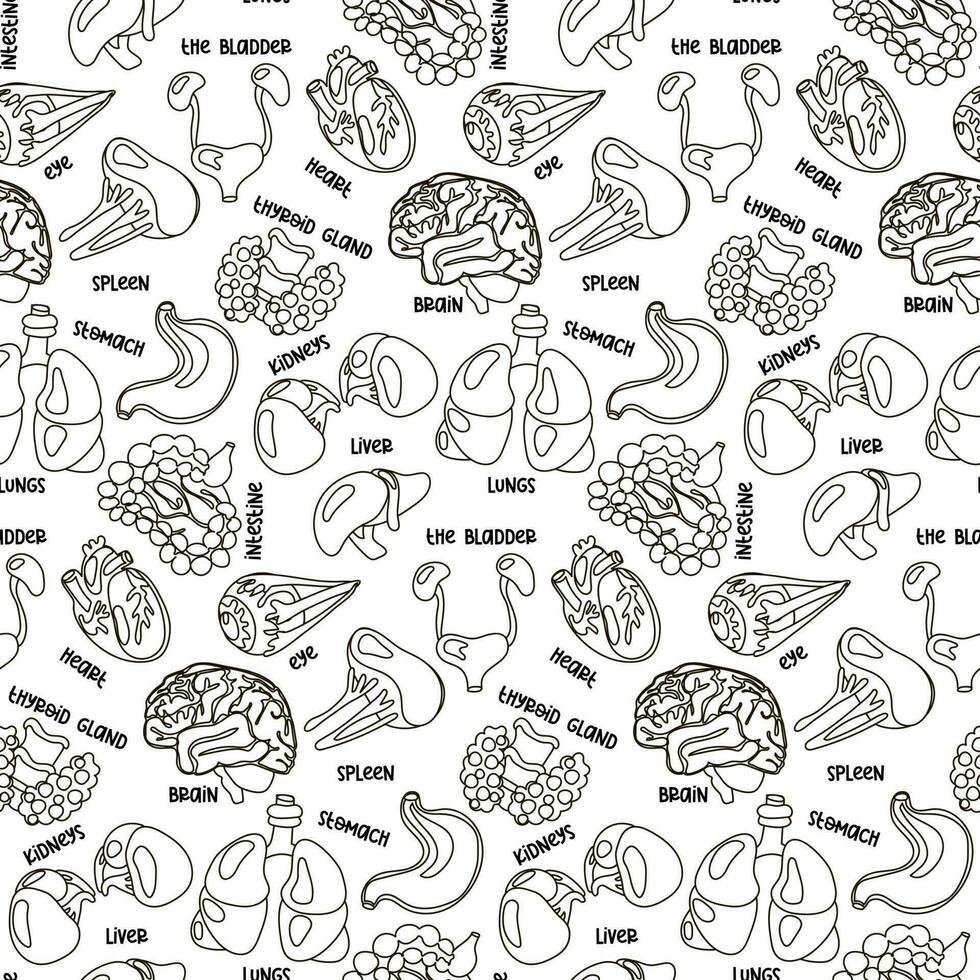Sample contour of human internal organs for surgery and transplantation. Including heart, liver, kidneys, eye, bladder, pancreas, brain, intestines, stomach and names. Flat seamless pattern on white vector