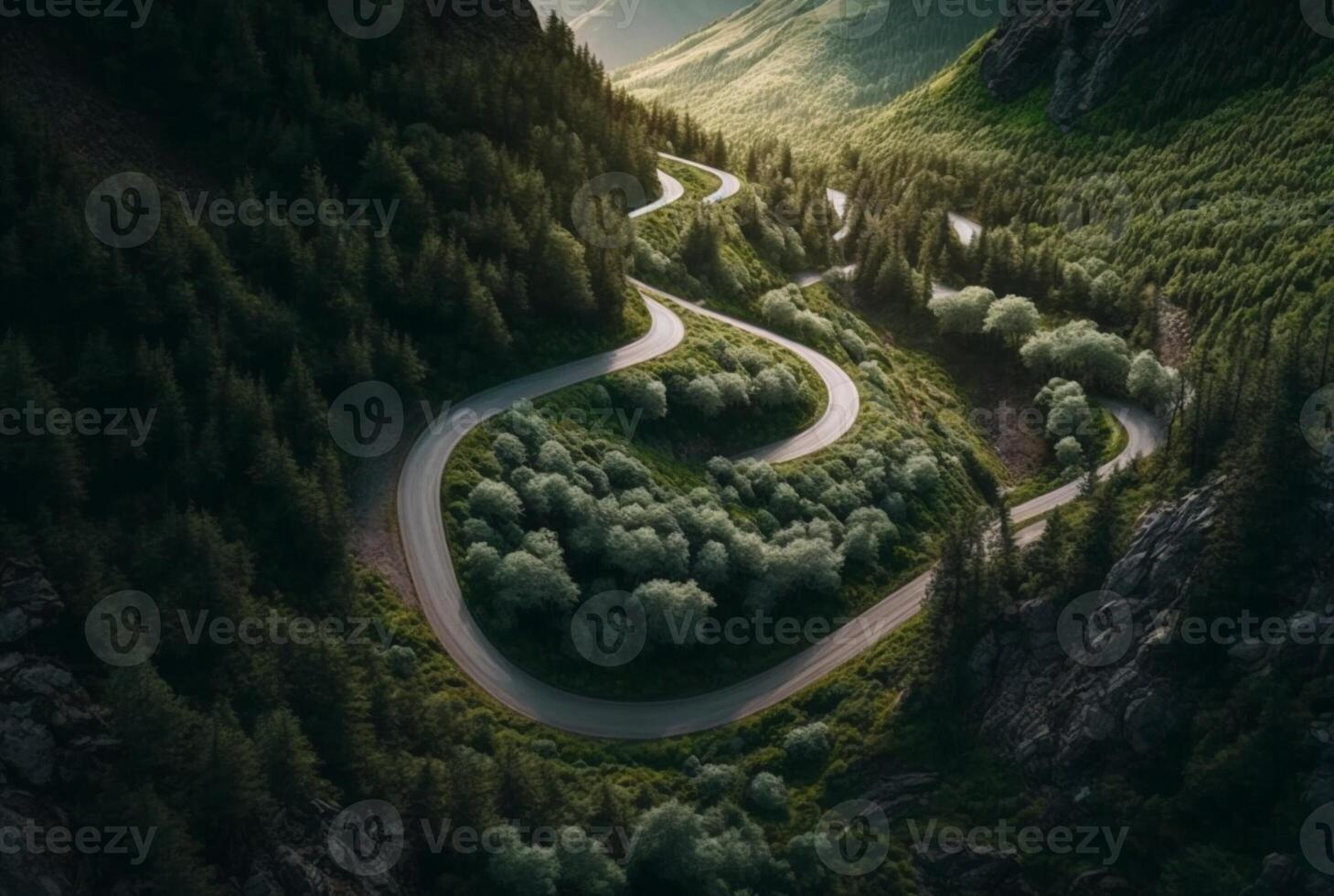drone view of winding road surrounded by lush green trees in forest. photo